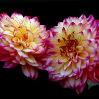 3 октября в ЦПКиО :: Михаил Бибичков