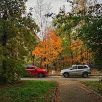 ***** :: Алексей Архипов