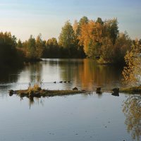 Тишина.. :: Марат Шарипов