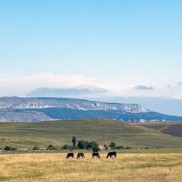 Карачаево-Черкесия. :: Yuri Chudnovetz