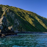 ... :: Жора Житников