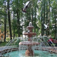 Голуби над  фонтаном :: Фотогруппа Весна