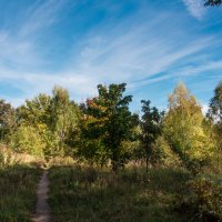 *** :: Владимир Безбородов *** :: Владимир Безбородов