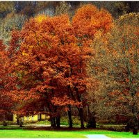 во всей красе :: Aleksandr Gal во всей красе :: Aleksandr Gal