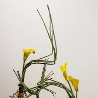 Икэбана :: Тамара Вебер