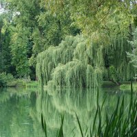 Сентябрьский пейзаж :: Рита Симонова