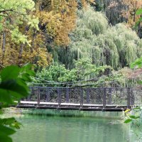 Сентябрь :: Рита Симонова