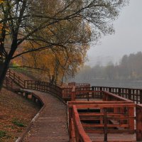 Осень в парке... :: Ирина С