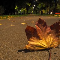 Осенние :: юрий поляков