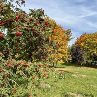 Осень :: Александр Конов