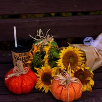 Осенний flat lay :: Светлана Мишенёва