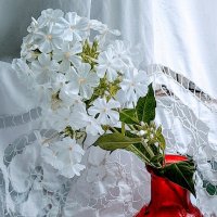 Натюрморт! :: жанна нечаева