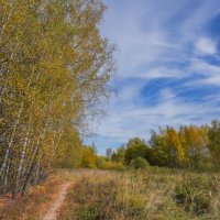 Палитра октября... :: Владимир Жданов Палитра октября... :: Владимир Жданов