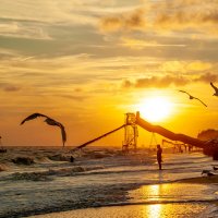 вечерний шторм :: Vladimir Bilyuk 