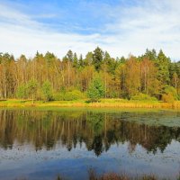Спокойствие осени :: Андрей Снегерёв