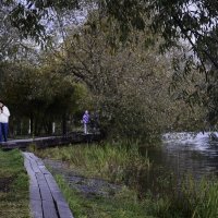 Осенний парк. :: Василий Палий