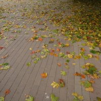 Осень :: Лютый Дровосек