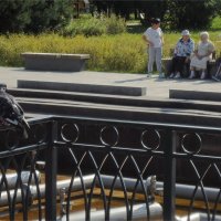 о чём воркуют? :: sv.kaschuk 