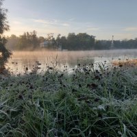 Заморозок :: Сапсан 