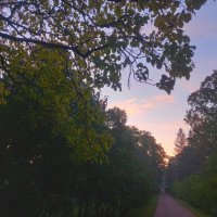 Рассвет :: Сапсан 