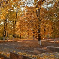 Листва :: B razk