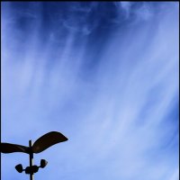 Мечта :: Сергей Премонишын