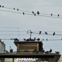 информбюро :: sv.kaschuk 