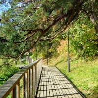 Экотропа :: Александр Чеботарь Экотропа :: Александр Чеботарь