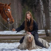 из жизни щеток :: игорь 