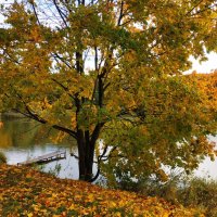 Зрелая осень :: Андрей Лукьянов Зрелая осень :: Андрей Лукьянов