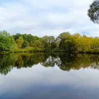 Про осень. :: Милешкин Владимир Алексеевич 