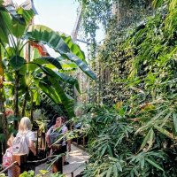 В павильоне Тропического леса :: Veera V В павильоне Тропического леса :: Veera V