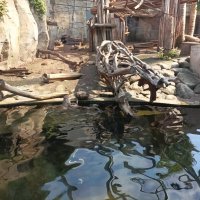 В павильоне Тропического леса :: Veera V В павильоне Тропического леса :: Veera V