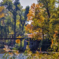 Осень :: Светлана Ищенко