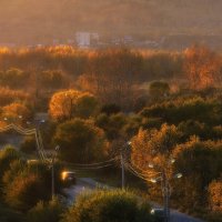 Осень в лучах заката :: Виктор Иванович Чернюк