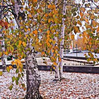 Октябрь...Первый снежок выпал! :: Владимир 