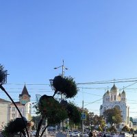 Утренняя прогулка по Калининграду. :: Ольга 