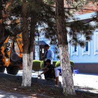 Доброе утро! :: Юрий Гайворонскiий Доброе утро! :: Юрий Гайворонскiий