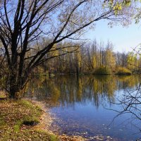 Осеннее настроение :: Наталия Григорьева Осеннее настроение :: Наталия Григорьева