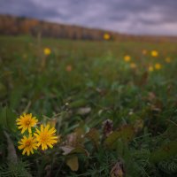 * :: Александр Иванов * :: Александр Иванов