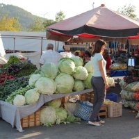 Трудно пройти мимо такой капусты :: Gen Vel Трудно пройти мимо такой капусты :: Gen Vel