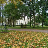 Падают жёлтые листья... :: Мария Васильева