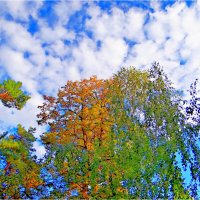 ЭТЮД :: Юрий Владимирович 34