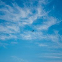 Воздушный бой (серия) :: Михаил 