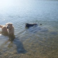 ДНЕВНОЙ ЗНОЙ :: СЕРГЕЙ ФИЛОЧКИН