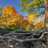 Осень. Гатчина :: Владимир Колесников