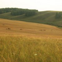 Хлебное поле после уборки :: Наталья Лунева Хлебное поле после уборки :: Наталья Лунева