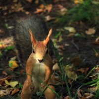 Во всей красе :: Roman stories -