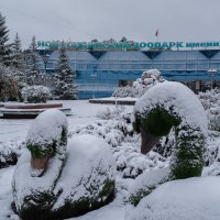 Первый снег.05.10.2025г. :: Михаил Измайлов