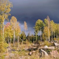 Дождик к нам идёт, смоет все слёзы... :: liudmila drake Дождик к нам идёт, смоет все слёзы... :: liudmila drake